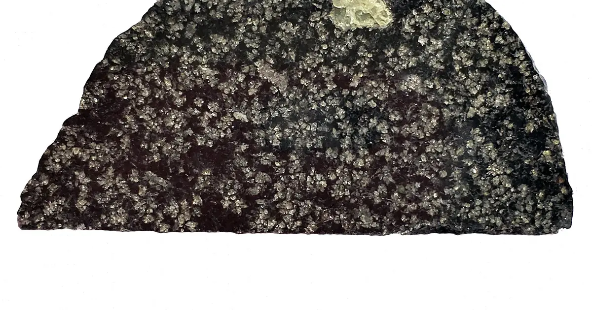 Rare meteorite provides evidence of giant early planet