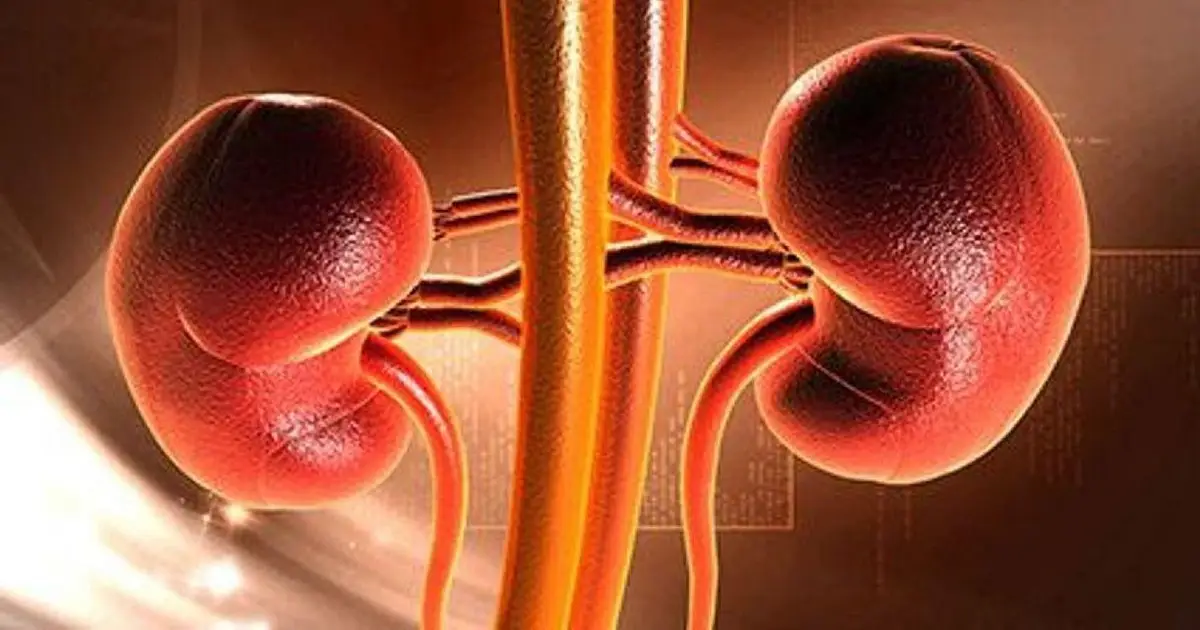 Recommendations updated for management of anemia in chronic kidney disease