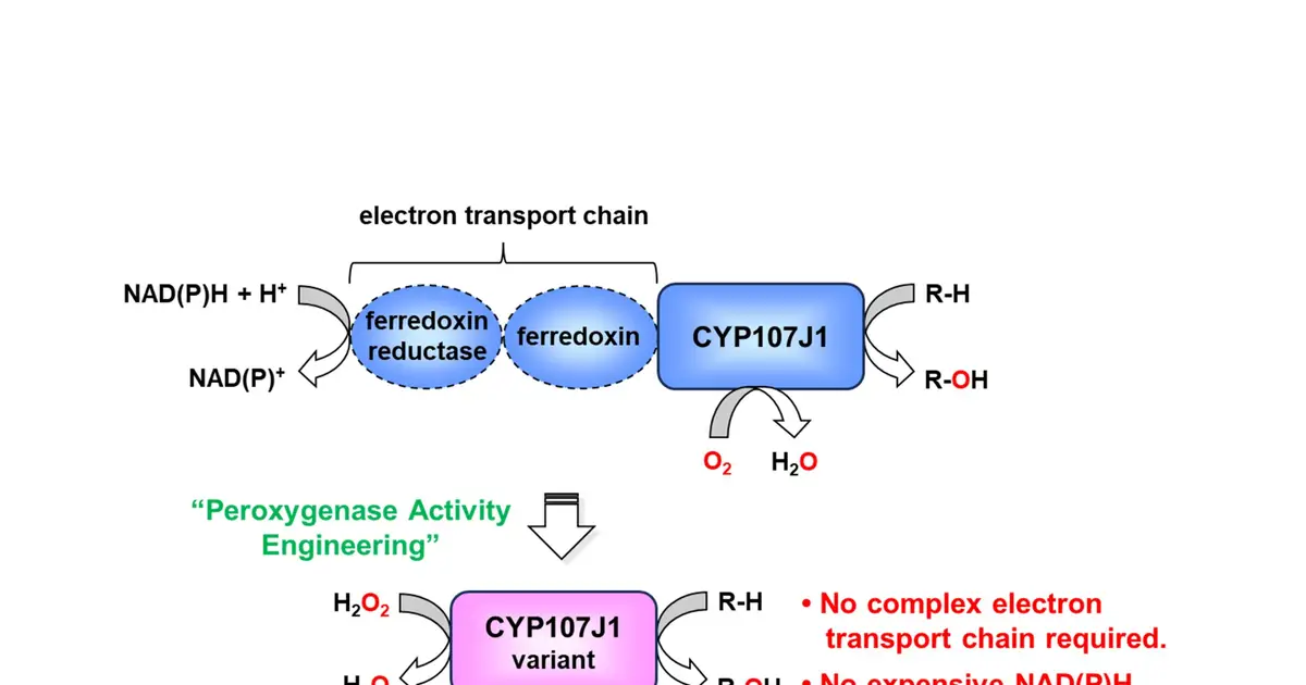Redesigning an elusive bacterial enzyme into an efficient green catalyst