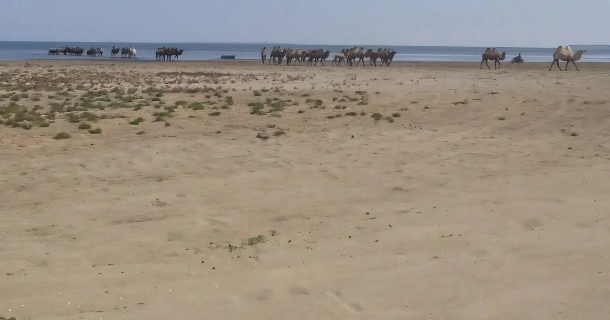 Reflooding the Aral Sea could prevent massive CO₂ emissions