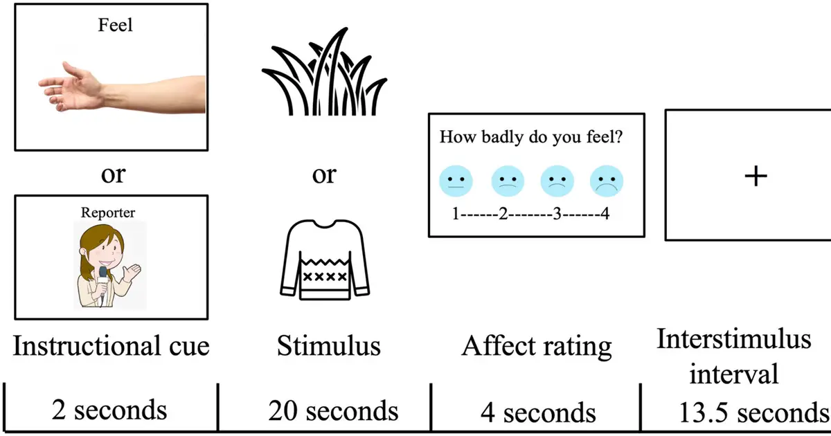 'Reporter game' helps regulate sensory-brain activity in autistic youth, MRI study finds