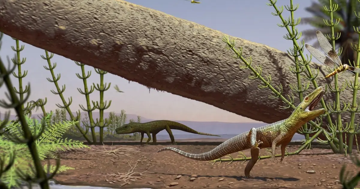 Reptile fossil found in Brazil helps shed light on the common origins of dinosaurs and crocodiles