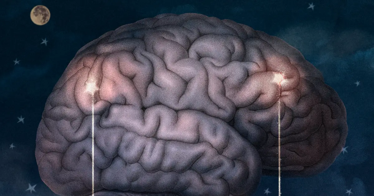 Rare cortical neurons can synchronize brain activity and promote sleep in mice