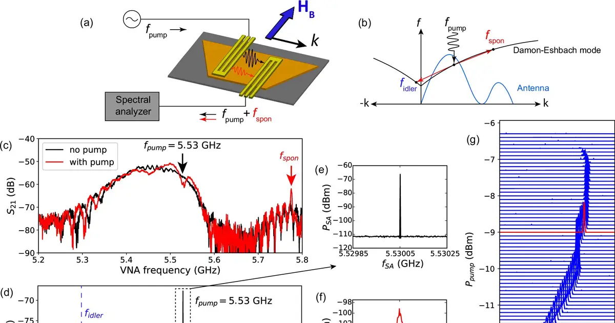 Spontaneous magnons synchronize with external signals at room temperature