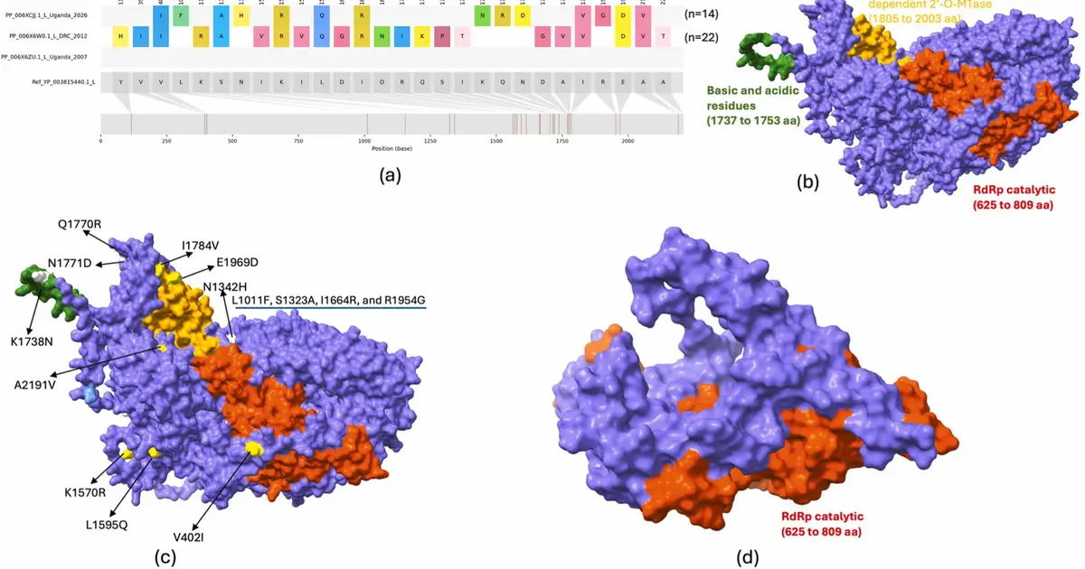 Researchers help identify new Ebola variant and potential treatment