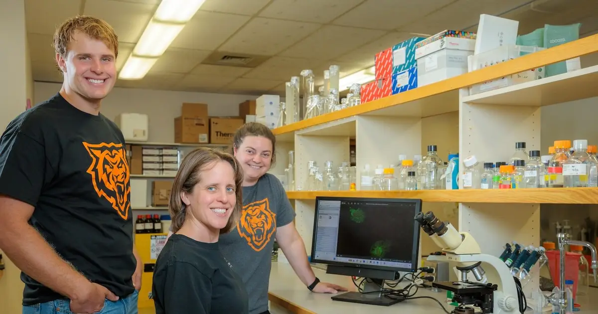 Researchers looking into foundations of autoimmune disease development, may yield new treatments