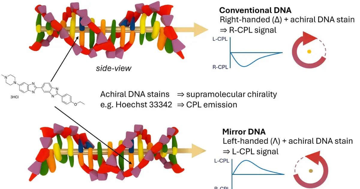 Light-based method could offer first way to detect hypothetical 'mirror life'