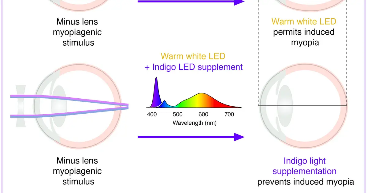 Restoring a missing slice of sunshine to indoor light may help prevent myopia