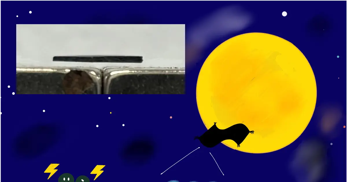Aligned graphite particles unlock stable levitation above magnets, study finds