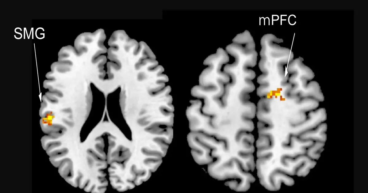 How TV drama shapes social maps in brain, and why conflict stands out