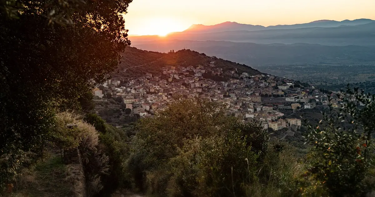 Sardinian village may be a new longevity hotspot