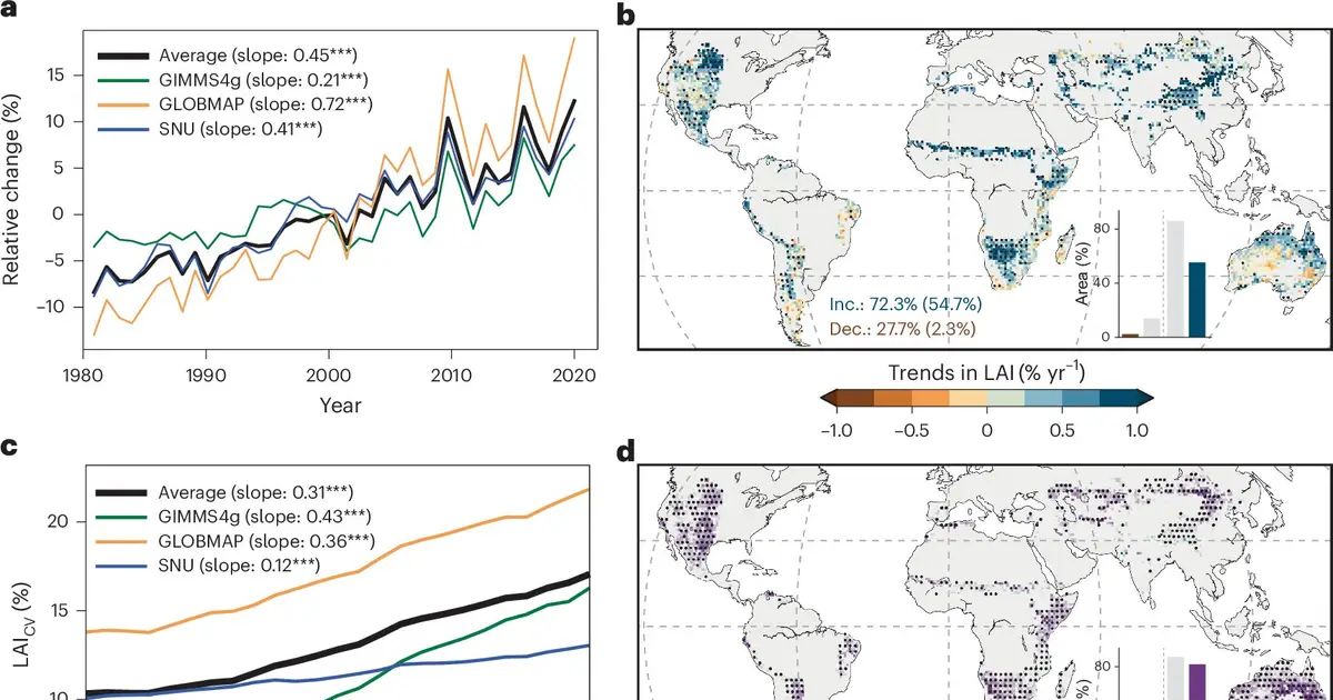 Satellite data expose an escalating 'boom-and-bust' dynamic in greening drylands