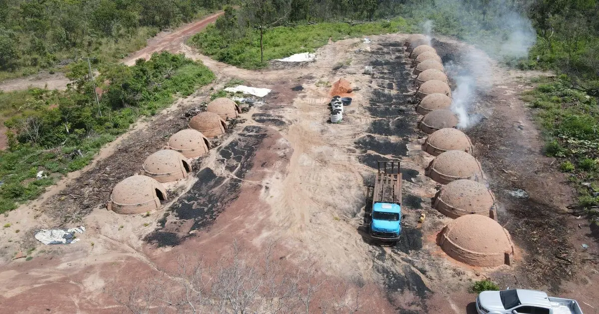 Satellite data reveal hidden labor trafficking in Brazil