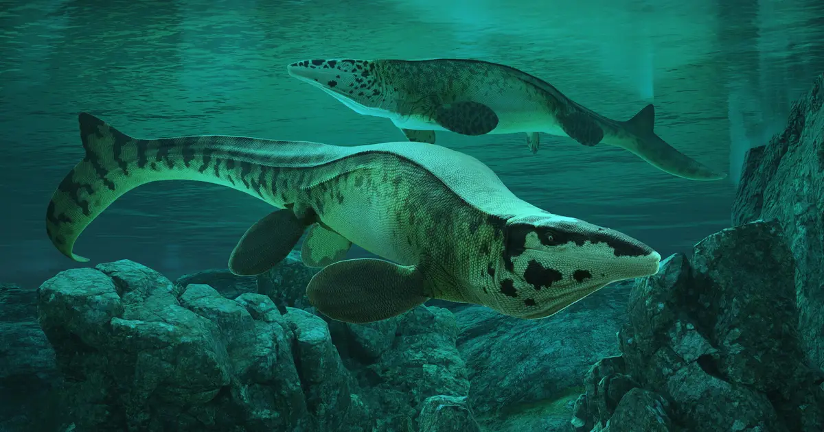 Saturday citations: Two T. rexes and new exercise guidance that scientists are not calling 'easy'