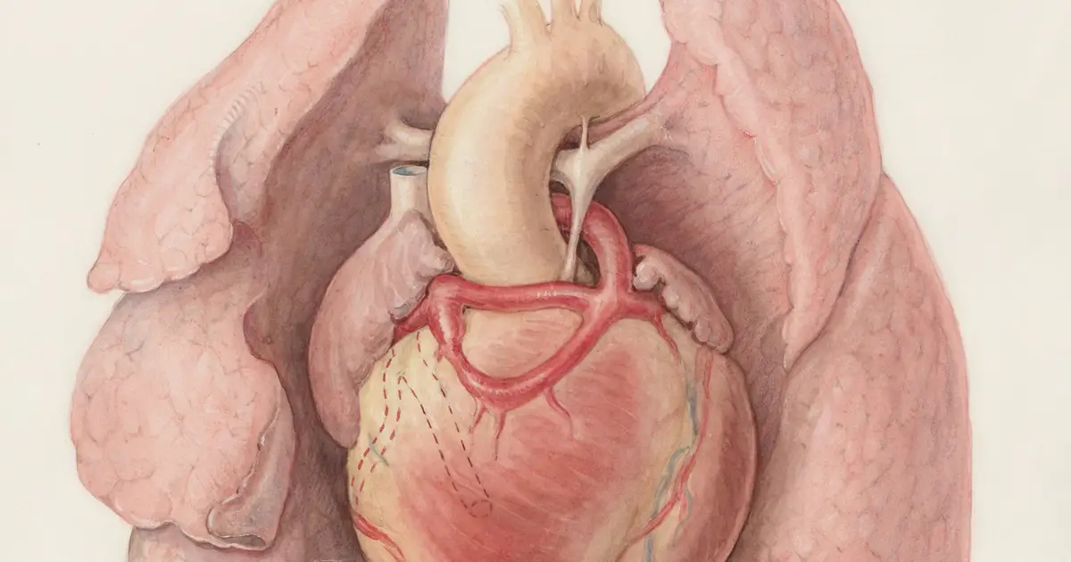Imaging agent may improve diagnoses for rare heart disease