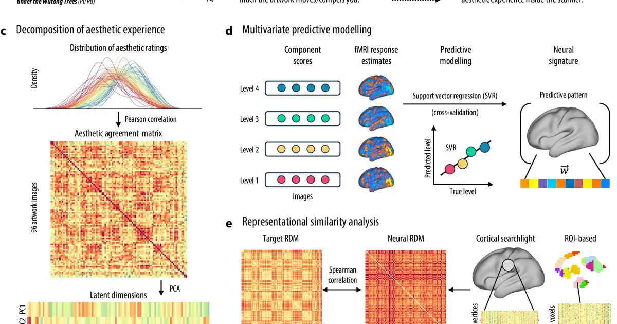Why beauty feels shared: Brain scans map art's content and pleasure pathways