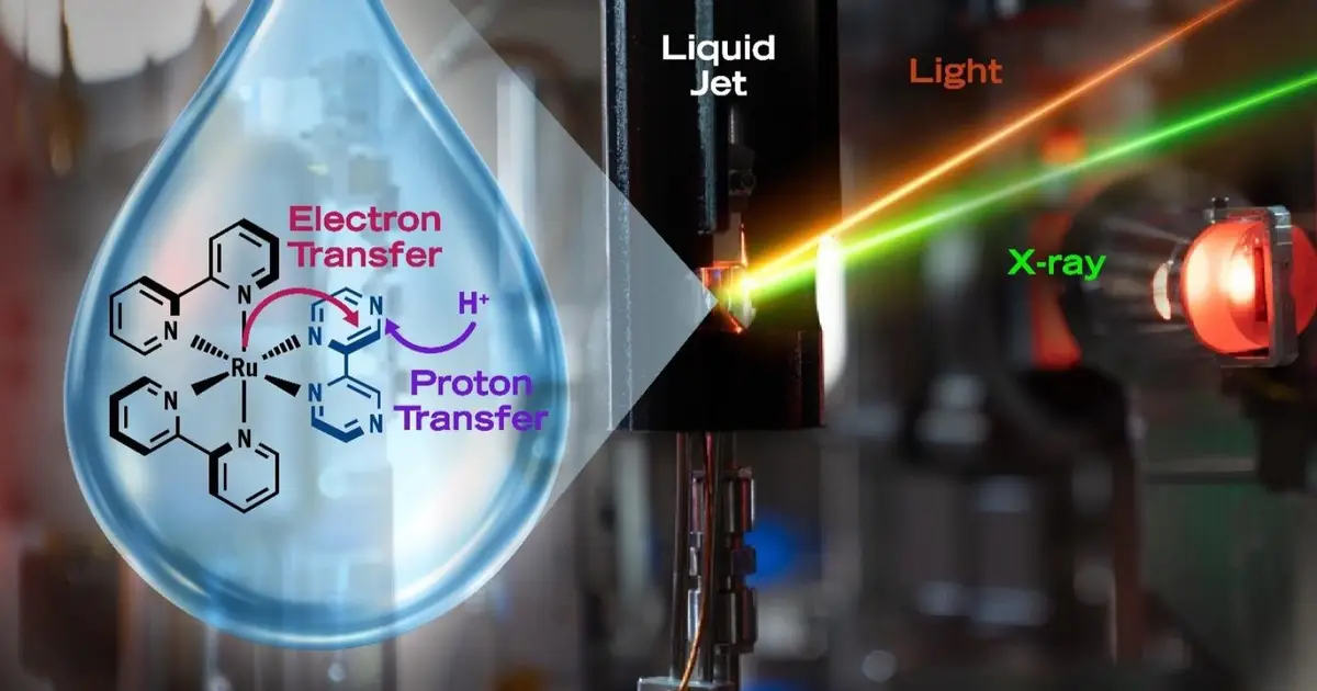 Scientists capture first molecular-level images of water reorganization during a reaction crucial for life