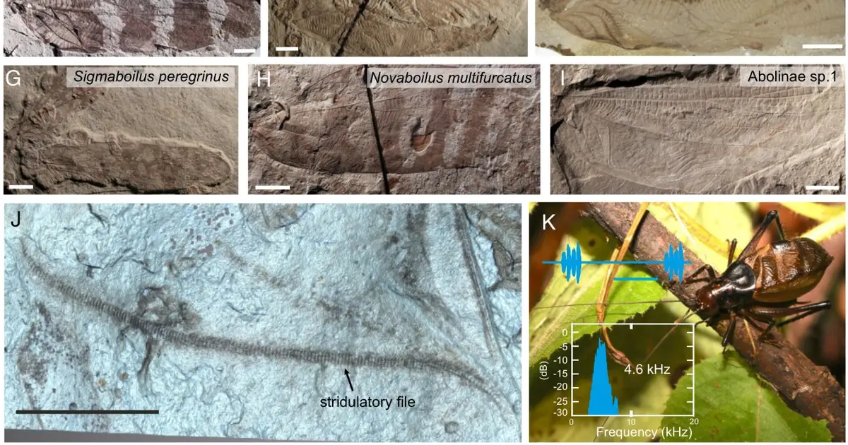 Reconstructed Jurassic insect calls evoke a 165-million-year-old forest soundscape