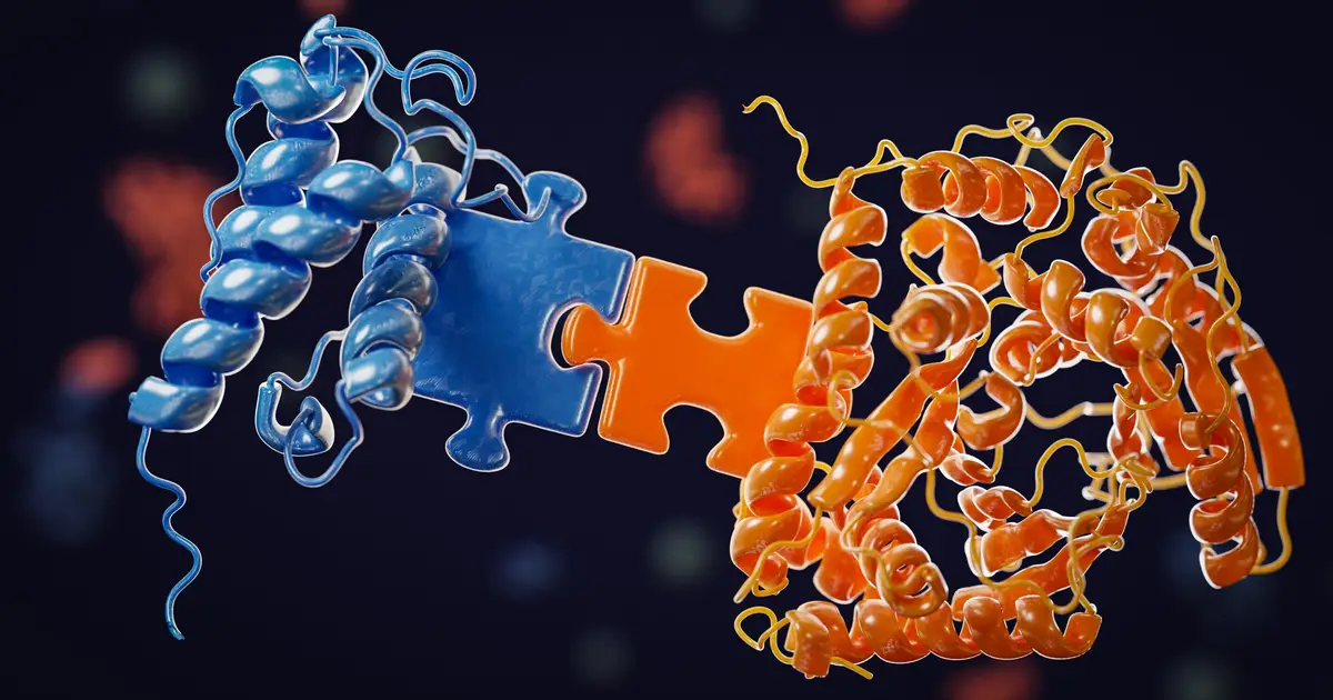 Bacteria's 'mix-and-match' code could create new cancer-fighting drugs