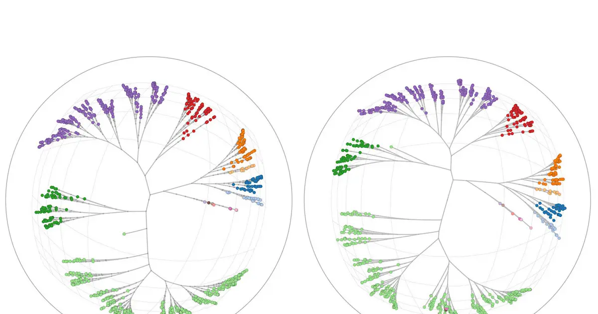 Seeing the unseen: A new tool visualizes hidden structures in complex biological data