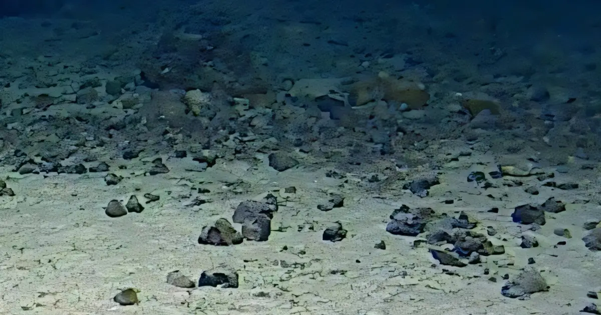 Rare deep-sea goblin sharks filmed in natural habitat for first time