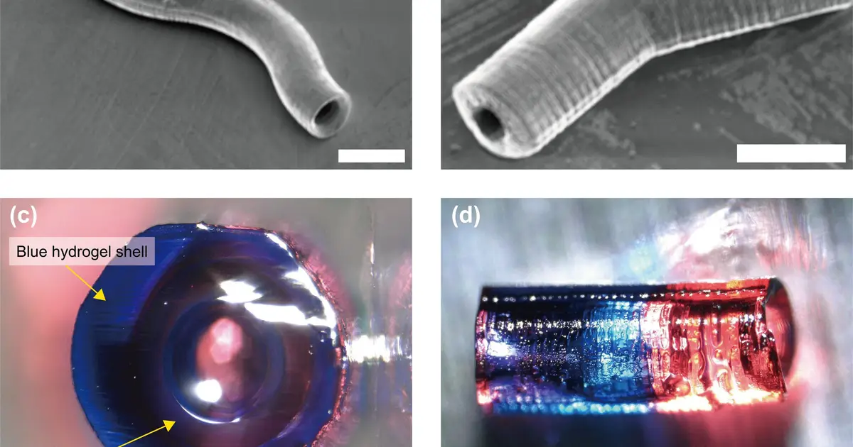 A step closer to artificial organs: UV light shapes arteriole-scale hydrogel vessels