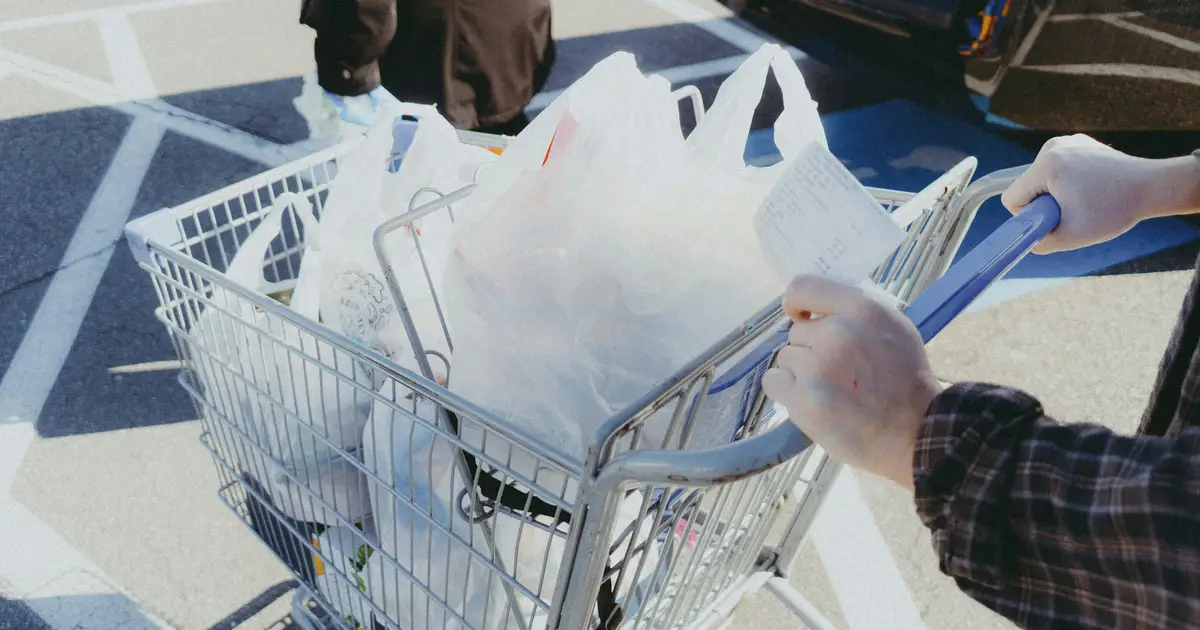 Did Israel's 'basket' initiative lower grocery bills?