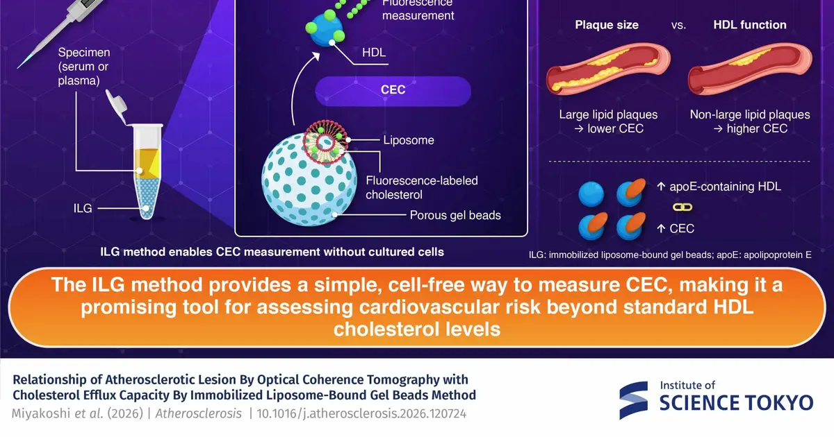 Simple blood test unveils hidden risks of unstable coronary plaques