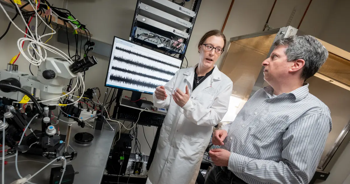 Single-cell atlas reveals how spinal neurons help coordinate walking and other rhythmic movements