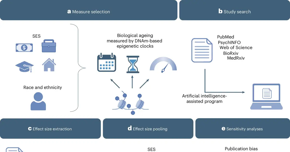 Faster biological aging consistently linked to poverty and discrimination