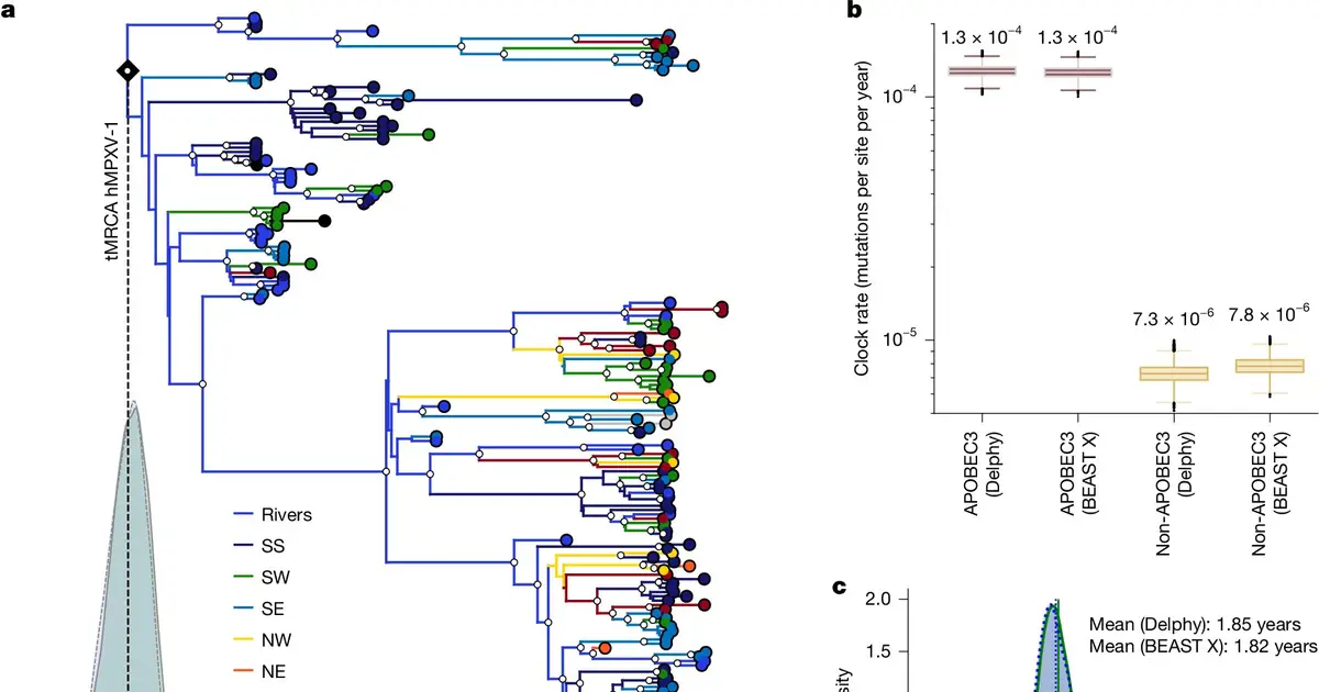 Software rapidly tracks viral variants with high accuracy to aid outbreak responses