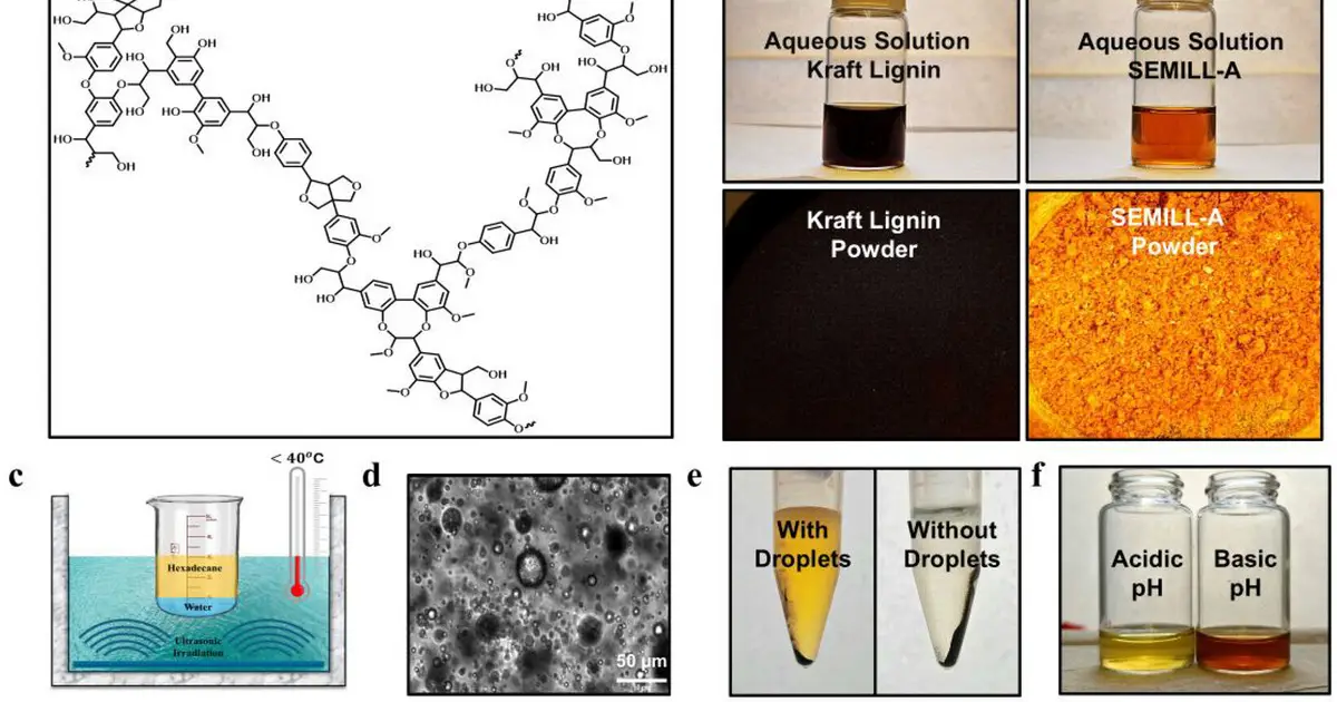 Sound waves and water droplets transform paper waste into higher-value chemical compound