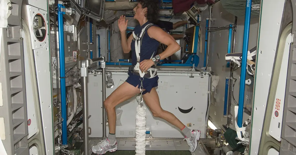 Space travel doesn't affect the strength of heart muscle cells, study finds