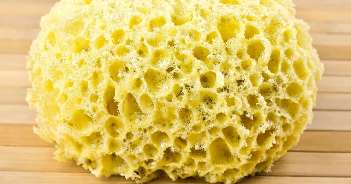 This sponge has holes. Some find that truly disgusting
