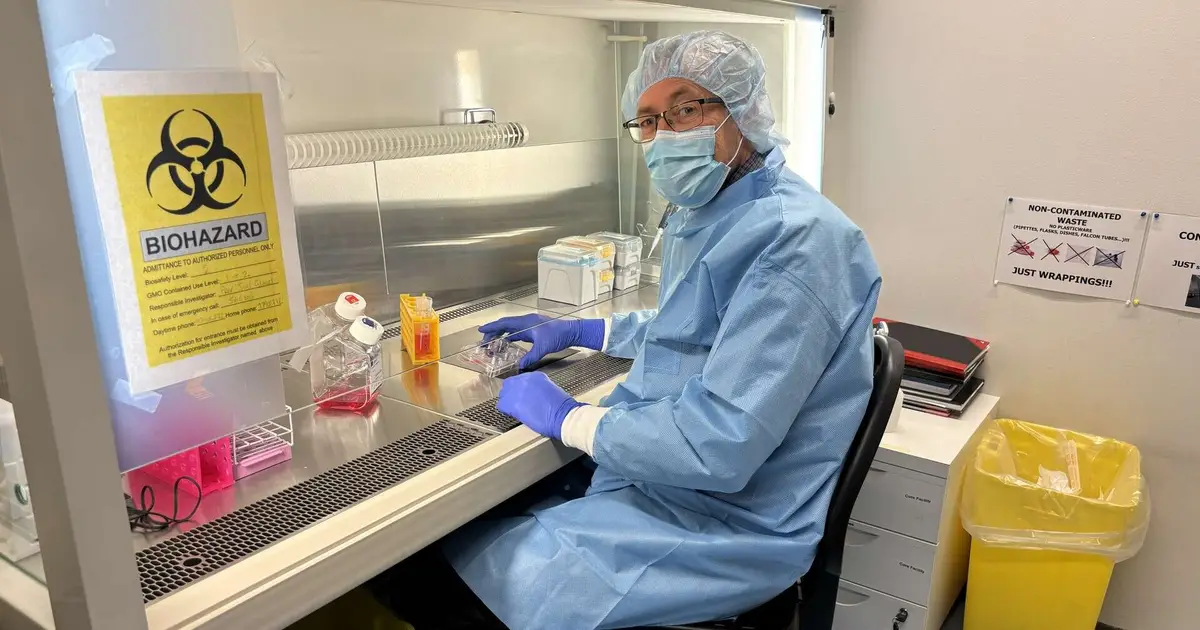Stem cells can contribute to new treatments for heart attacks and Parkinson's