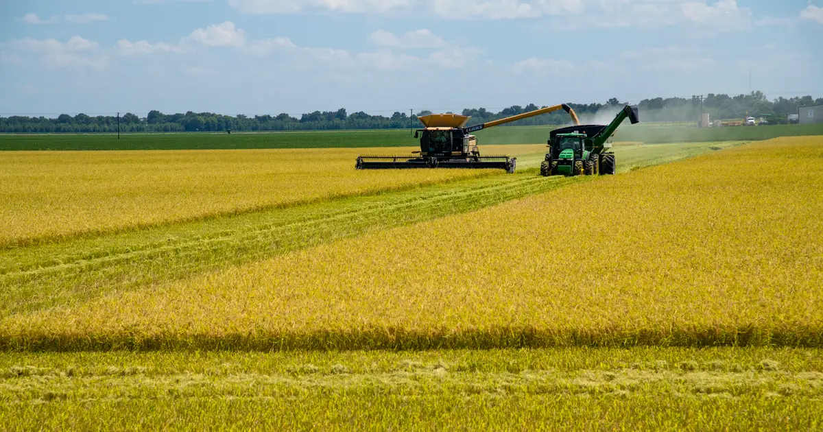 Study examines suicide awareness among agricultural educators