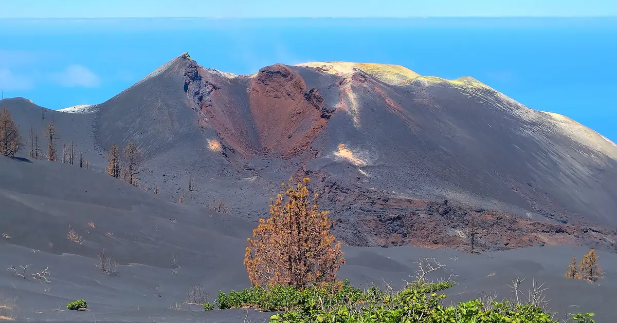 Silent volcanic gas buildup revealed six months before La Palma eruption