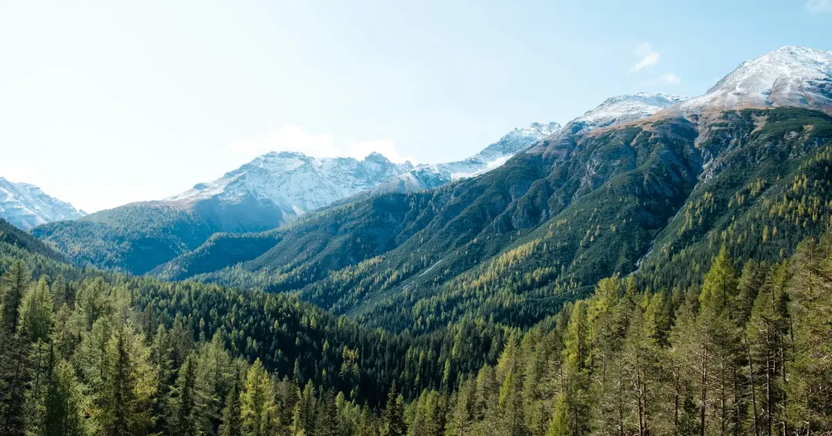 Even high-altitude forests in Switzerland are now weakened by frequent droughts, making natural hazards more dangerous
