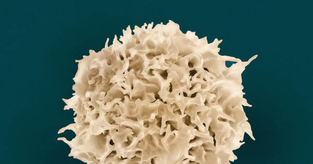 T cells ditch exhaustion marker to escape tumors and protect against cancer relapse
