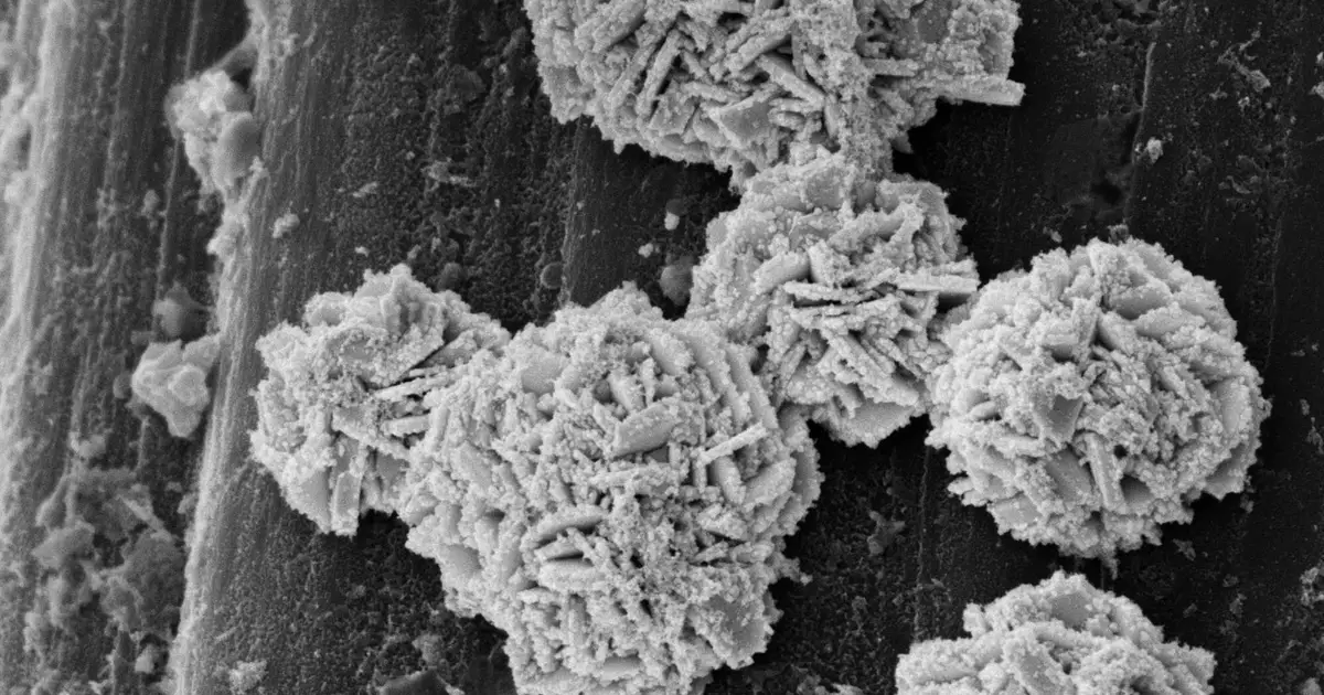 Tackling diabetes with an electronic implant: How a tiny catalyst lowers blood sugar