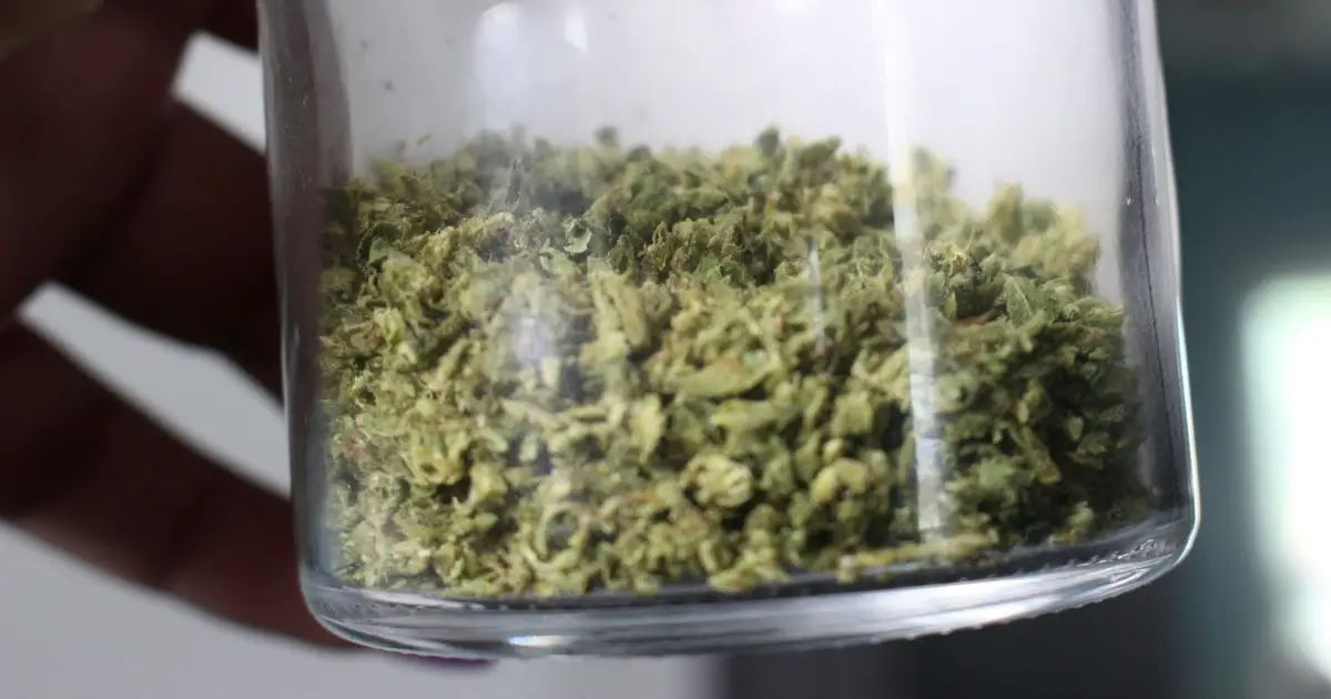 Cannabis-derived THC shows promise for treating PTSD-related nightmares