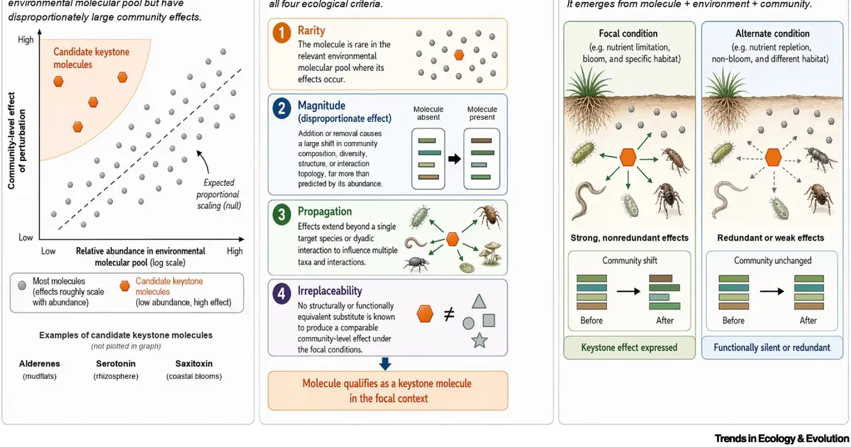 Trace molecules emerge as chemical 'keystones' that steer life's communities
