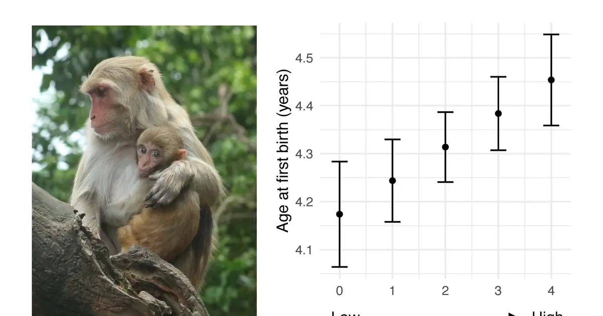 Early-life adversity reshapes growth and reproduction in rhesus macaques for decades