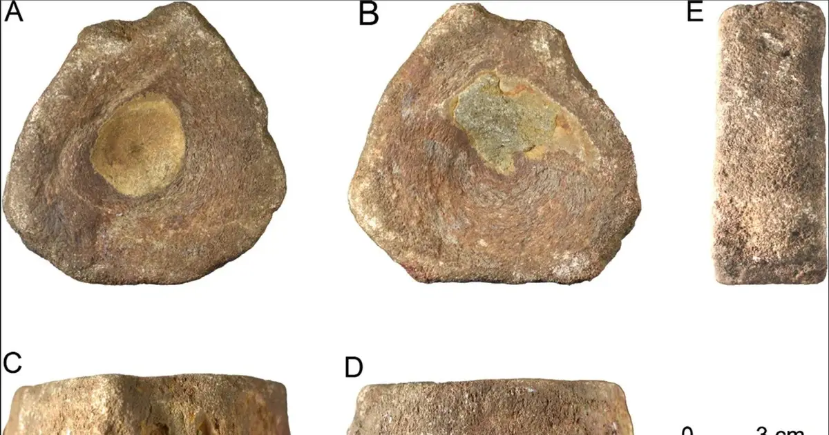 The oldest deliberately collected fossil ichthyosaur was discovered in Roman Britain around 1,800 years ago