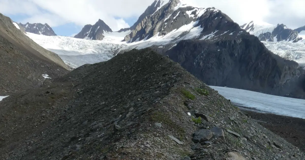 Machine learning uncovers 1,750 quakes tracing 250-kilometer edge of Alaska microplate