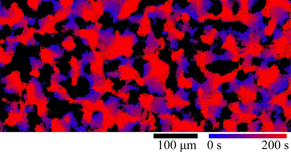 Tiny particles defy action-reaction symmetry to stay in motion