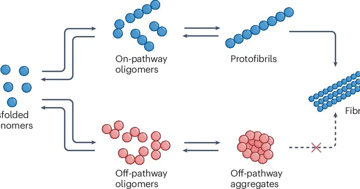 Tiny protein oligomers may unlock earlier diagnosis for Alzheimer's and related diseases