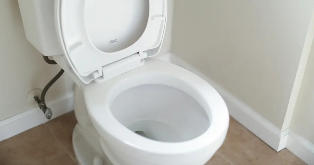 Toilet pellets may help us flush less and save water