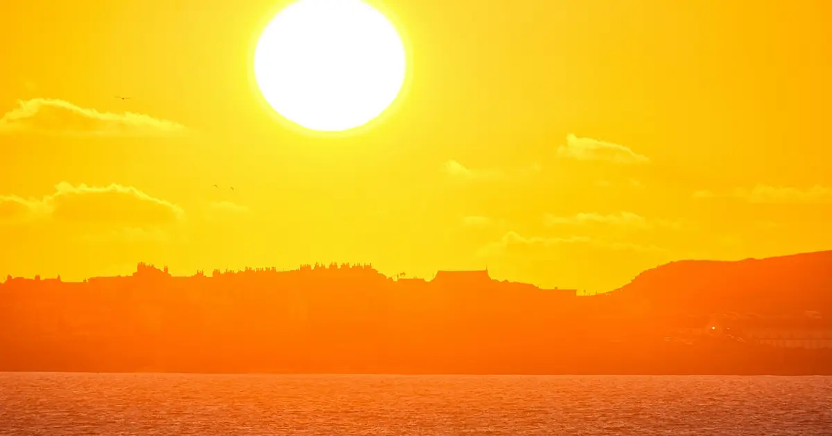 Too hot to think? Why extreme heat can affect how well our brain works