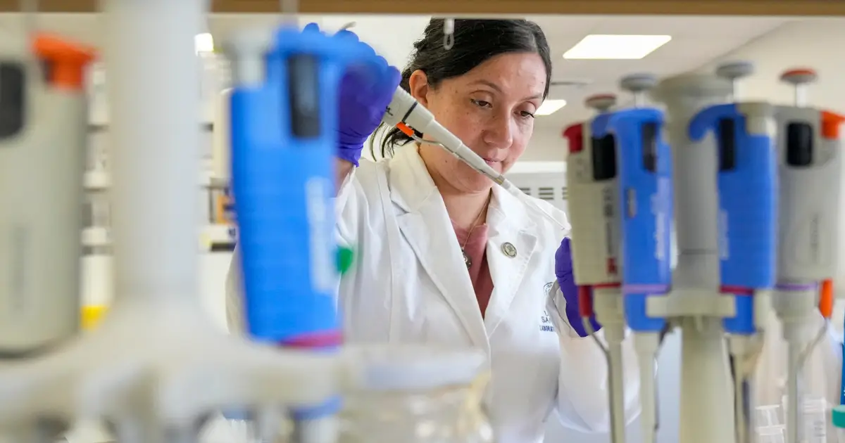 Tools to fight hantavirus show promise despite limited funding. Now researchers hope to continue